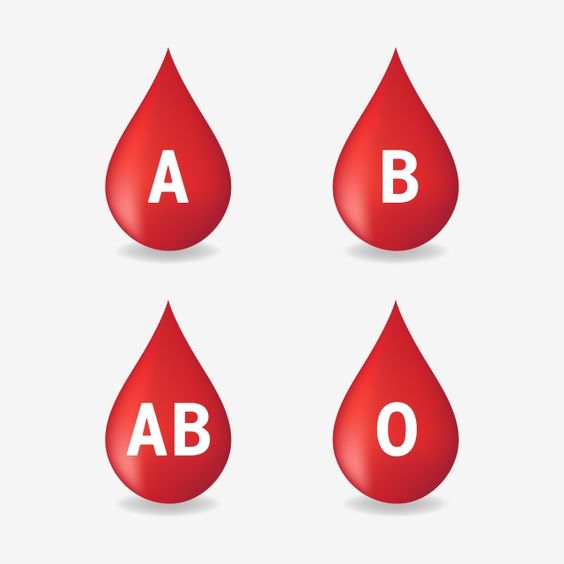 understanding-common-blood-tests-and-their-results-tophealthanswers